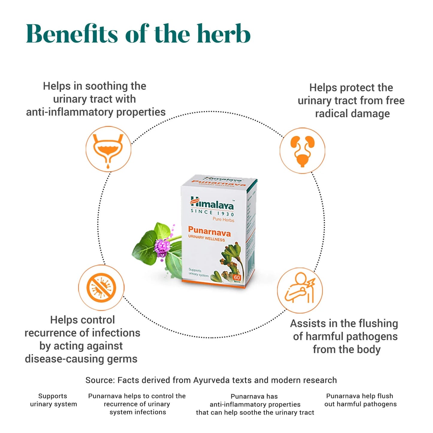 Himalaya Punarnava - Ayurherbs and Spices - Kenya Herbal Shop