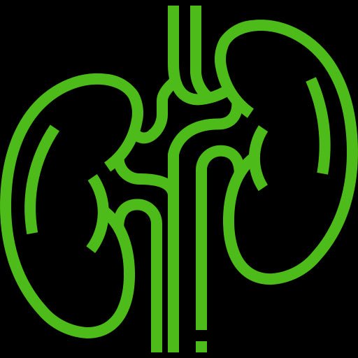 Kidney and Urinary Health - Ayurherbs and Spices