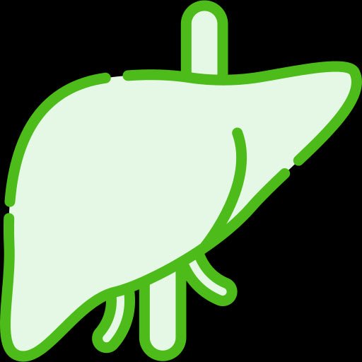 Liver Health - Ayurherbs and Spices